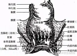 巴特勒谁能执教11冠王球迷热议(巴特勒谁能执教11冠王球迷热议球队)|PP电子体育官方网站